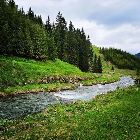 D'rock Arosa- 4 Nightlife Location By Nature Switzerland (adults Only) アパート *